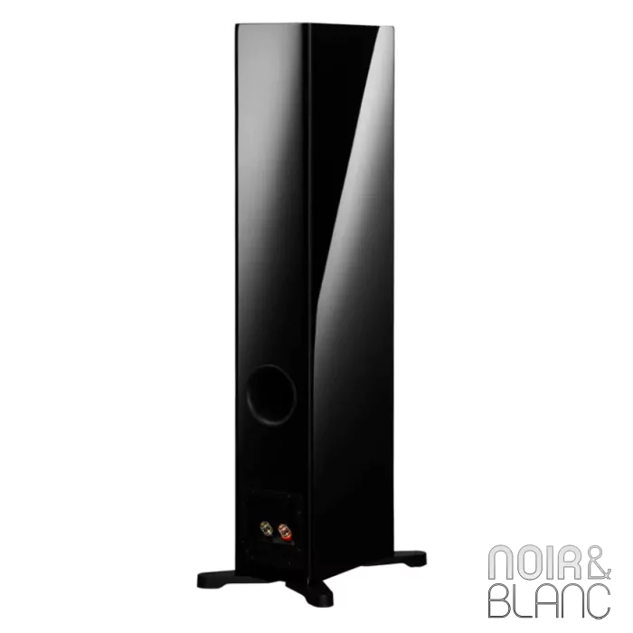 Enceinte colonne Dynaudio Evoke 30 