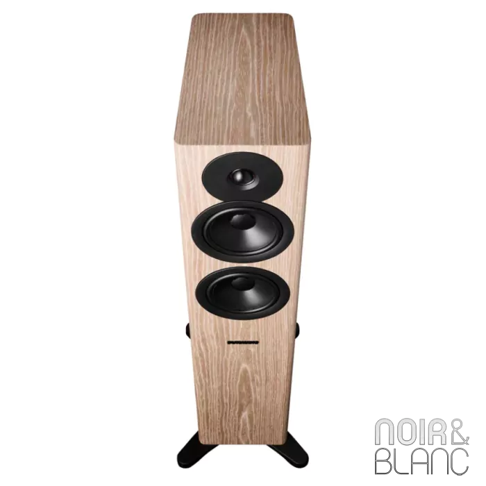 Enceinte colonne Dynaudio Evoke 30 