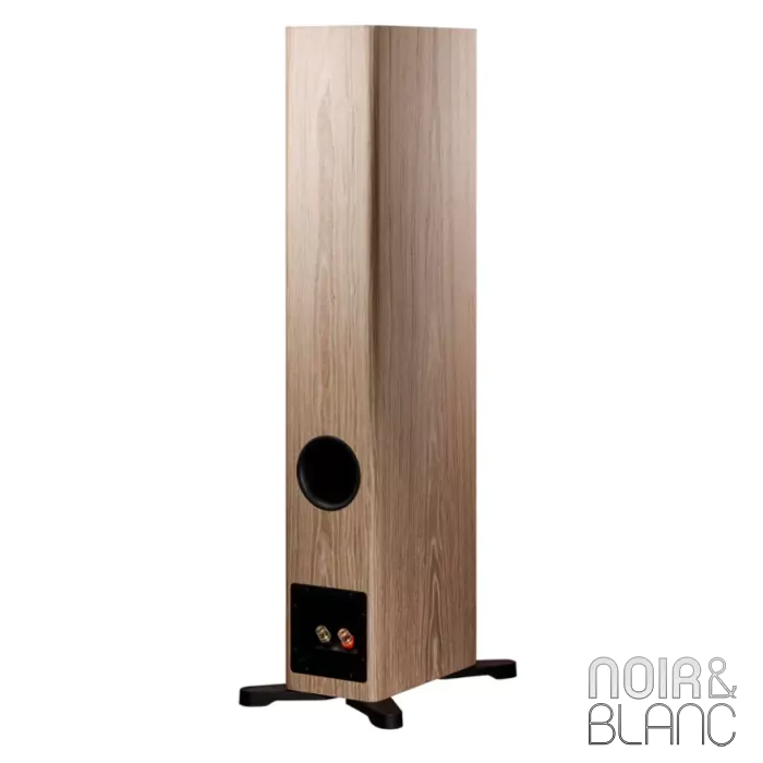 Enceinte colonne Dynaudio Evoke 30 