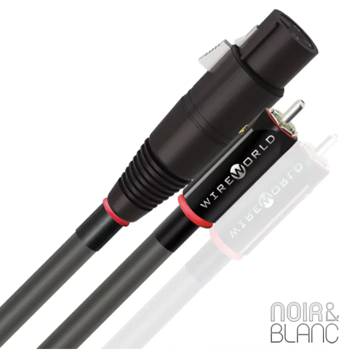 Câble RCA Wireworld Equinox 10 RCA