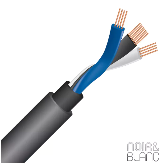 Câble RCA Wireworld Equinox 10 RCA