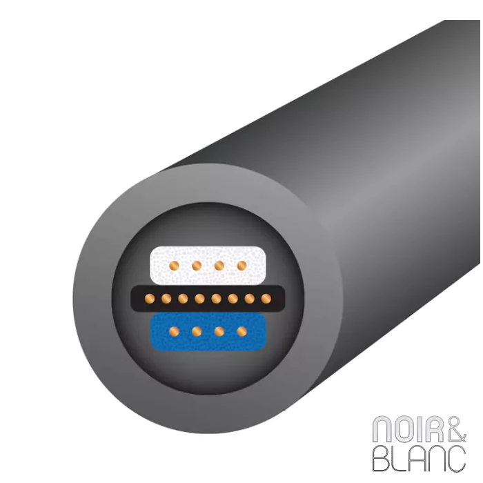 Câble RCA Wireworld Equinox 10 RCA