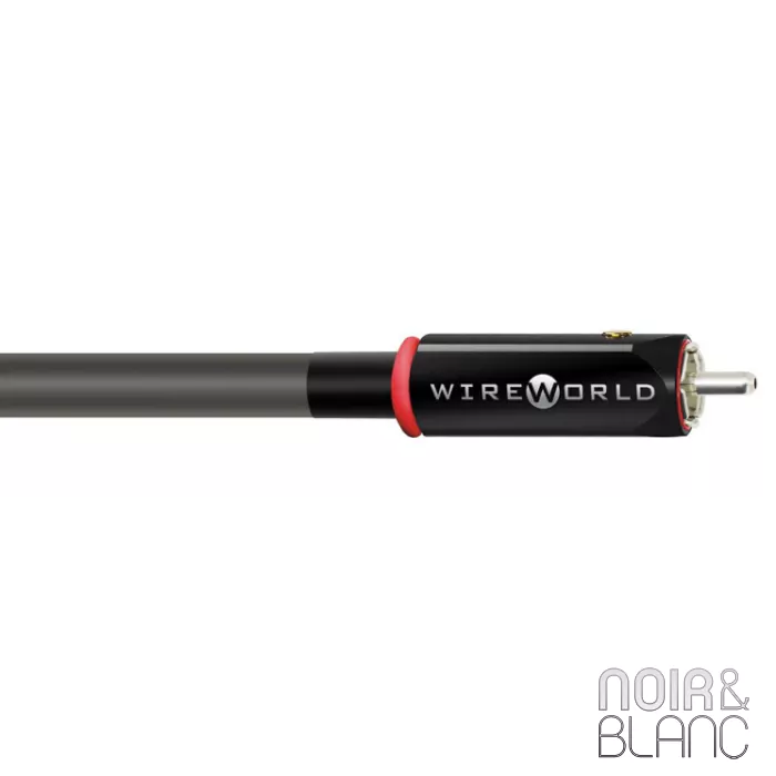 Câble RCA Wireworld Equinox 10 RCA