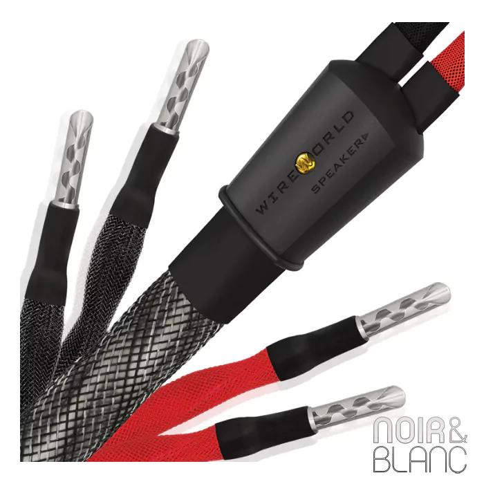 Câble d'enceintes Wireworld Silver Eclipse 10 Haut-Parleurs Biwire