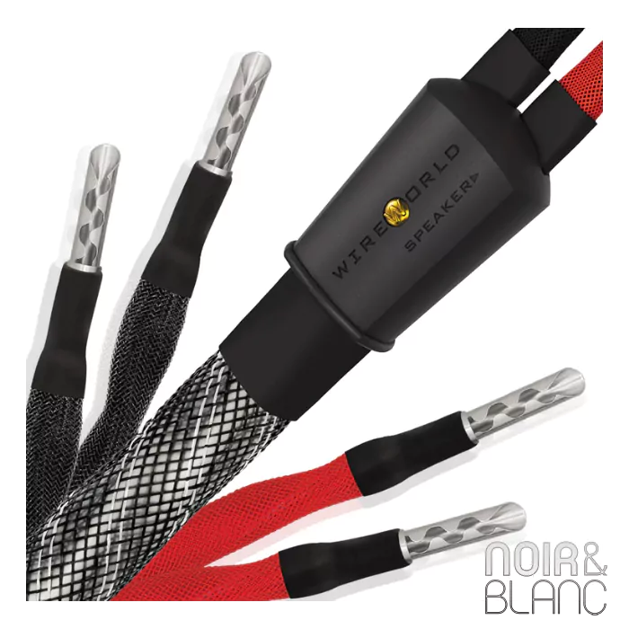 Câble d'enceintes Wireworld Platinum Eclipse 10 Haut-Parleurs Biwire