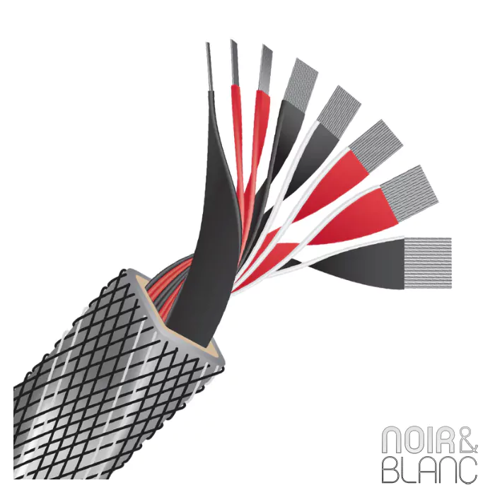 Câble d'enceintes Wireworld Platinum Eclipse 10 Haut-Parleurs Biwire