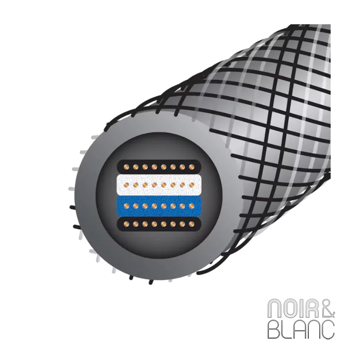 Câbles Jumper Wireworld Silver Eclipse 10 Jumpers