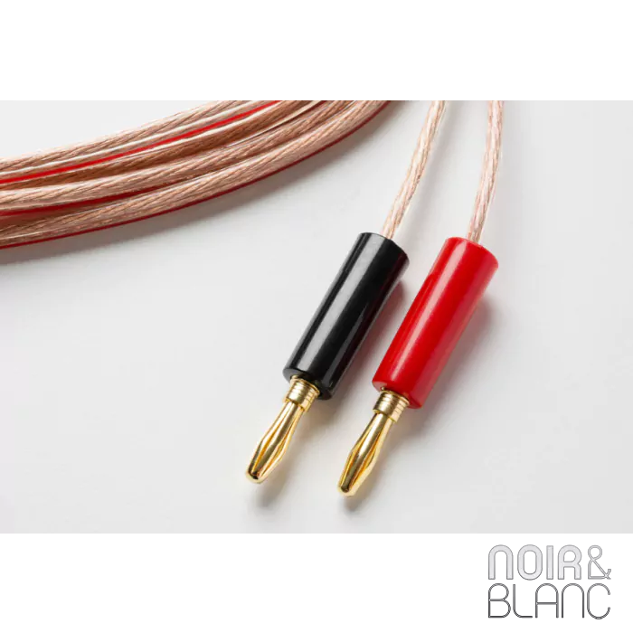 Câble d'enceintes Pro-Ject Connect it LS E Flex