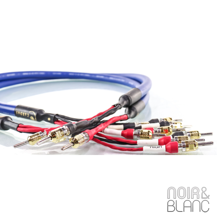 Cardas Clear Sky X4 Speaker Bi-Wire main product photo