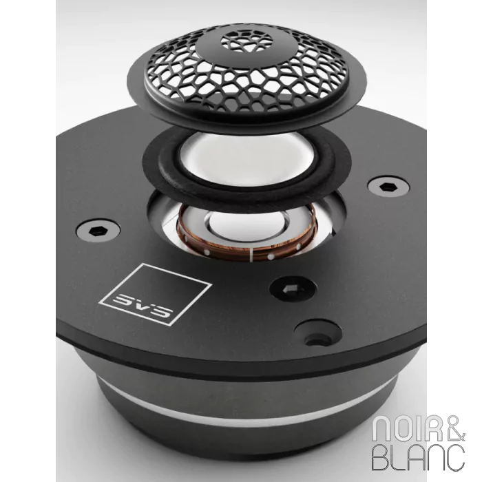 Enceintes colonnes SVS Ultra Evolution Tower