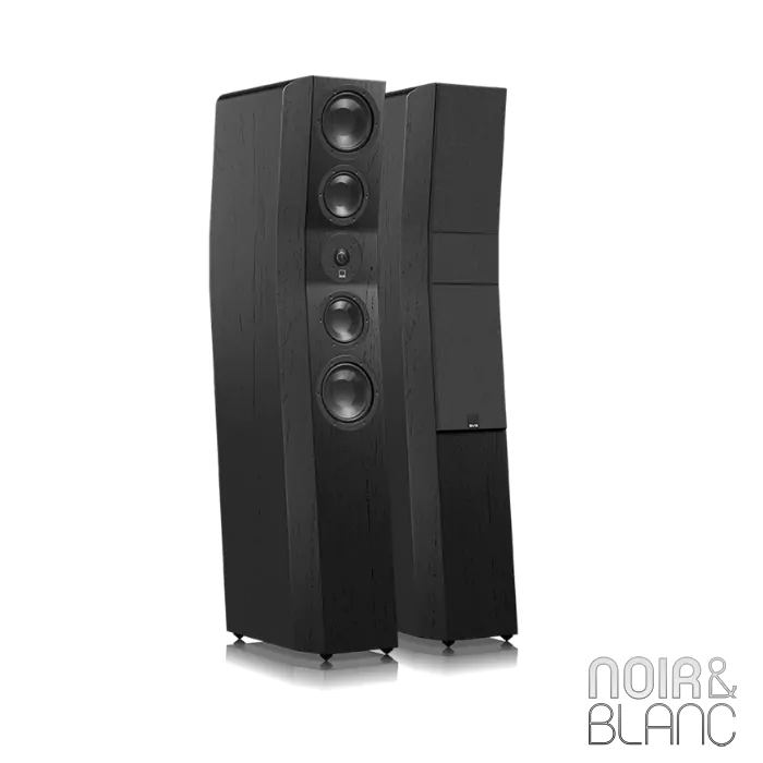 Enceintes colonnes SVS Ultra Evolution Tower