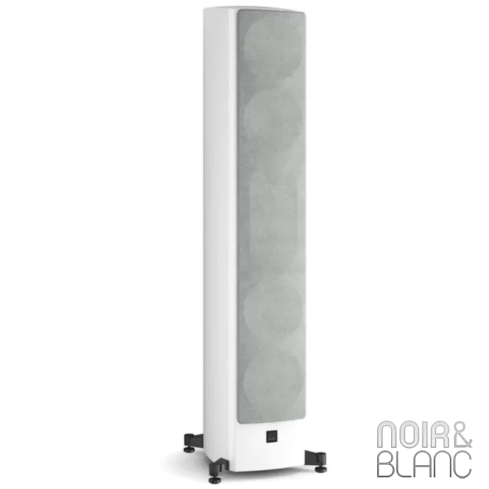 Enceinte colonne Dali Epikore 11