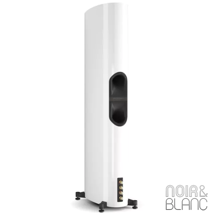 Enceinte colonne Dali Epikore 11