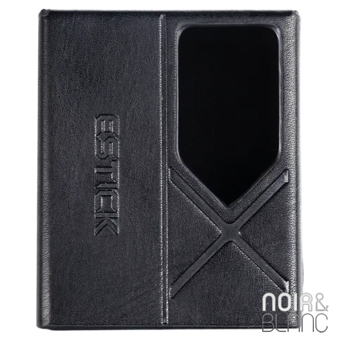 Fiio SK-EStick + KA17 main product photo