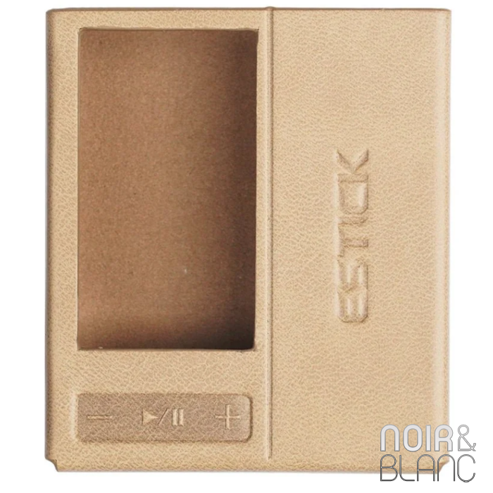 Fiio SK-EStick + QX13 main product photo