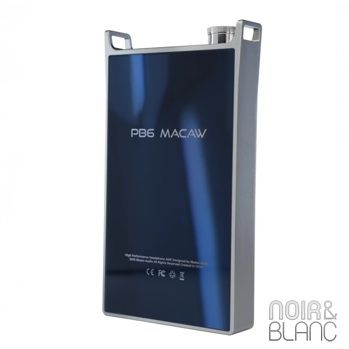 iBasso PB6 Macaw main product photo