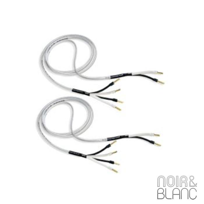 Analysis Plus Bi- Big Silver Oval main product photo
