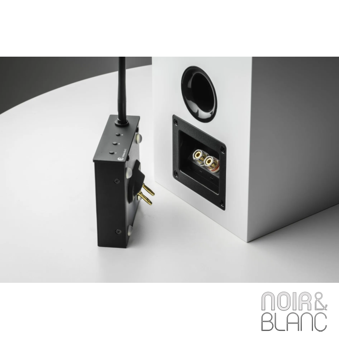 Pro-Ject Wireless Box E main product photo