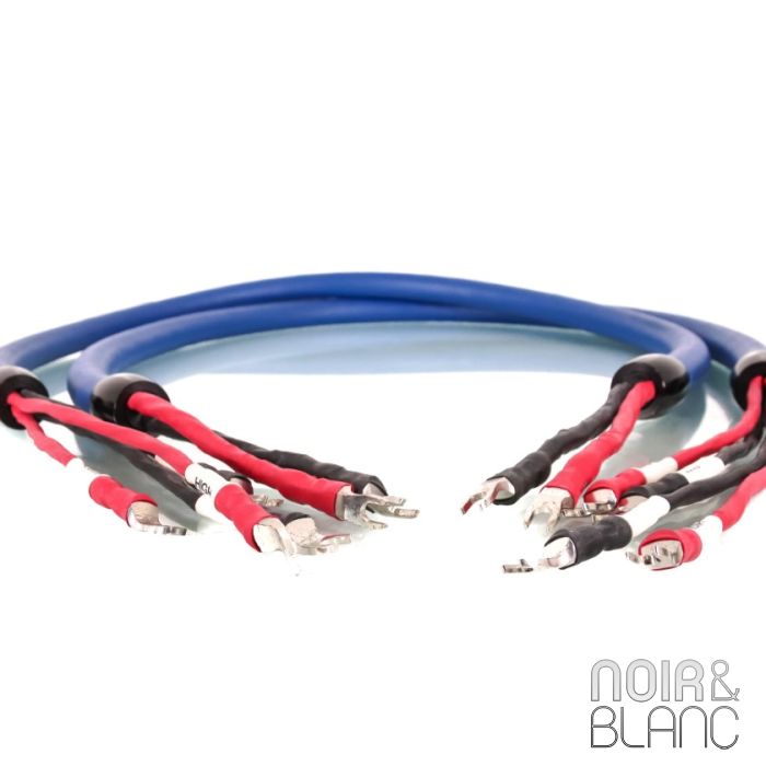 Cardas Clear Beyond Speaker Bi-Wire main product photo