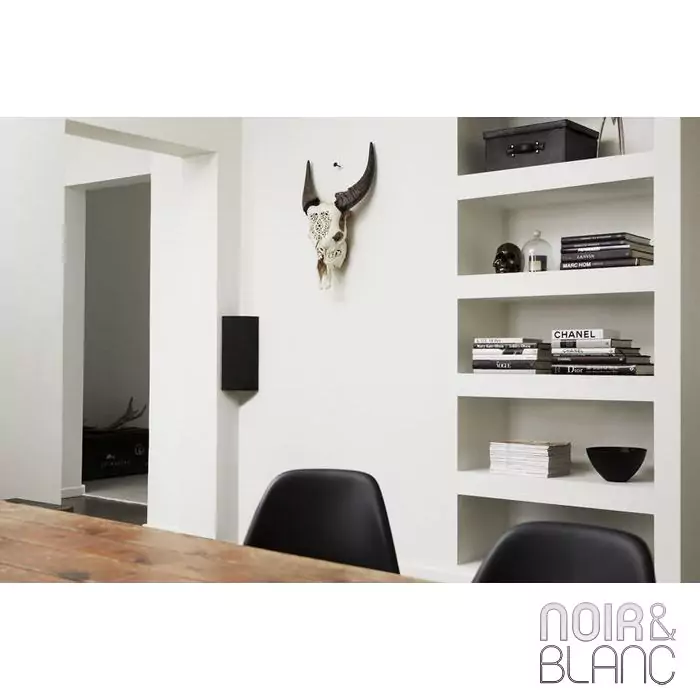 Blaze Audio (anciennement Cornered Audio) Ci4-V