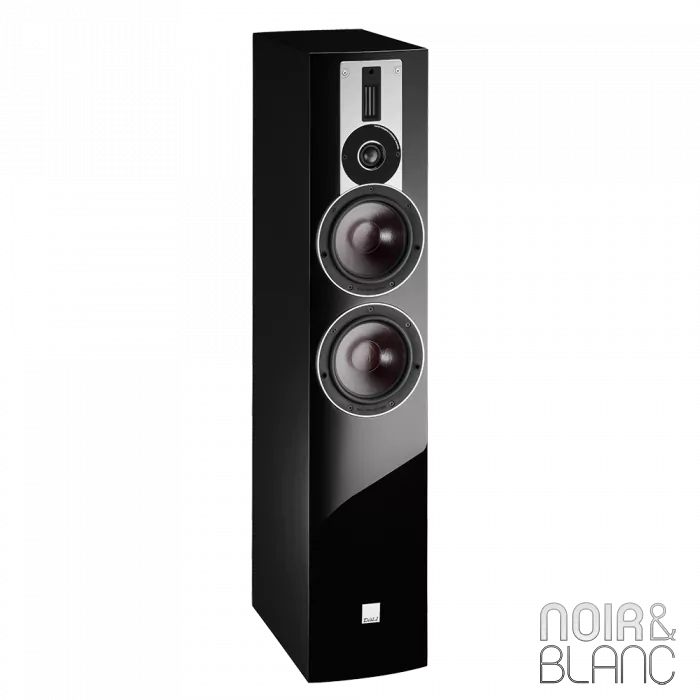 Enceinte colonne Dali Rubicon 6