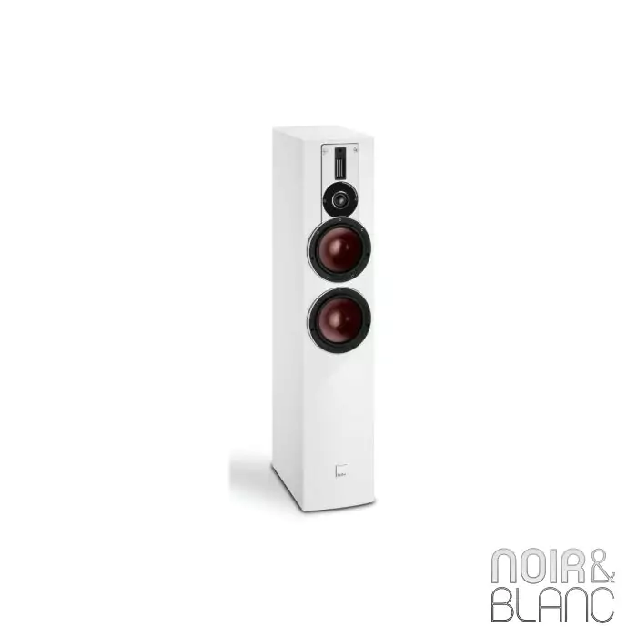 Enceinte colonne Dali Rubicon 6