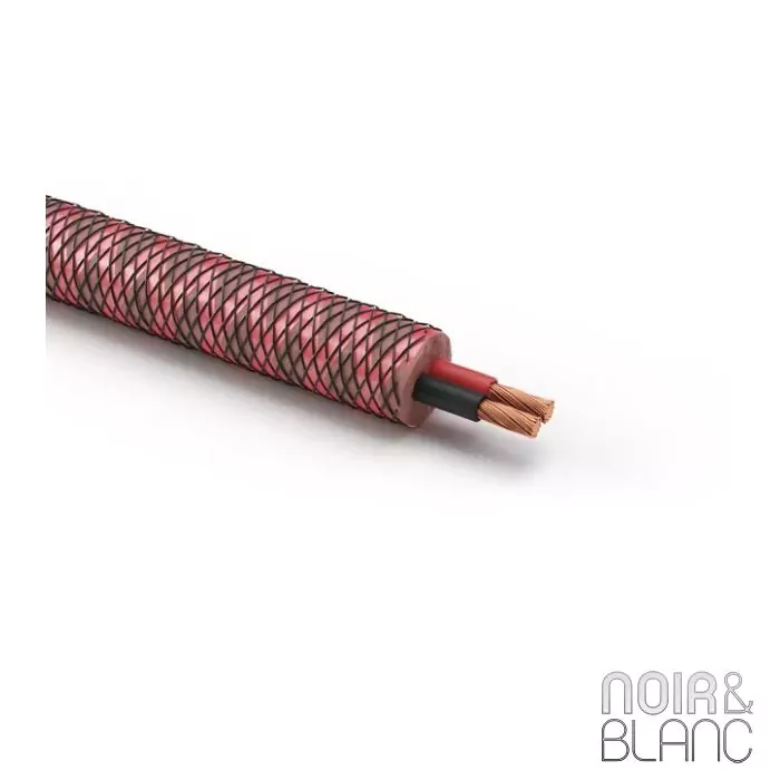 Câble pour enceintes Dali SC-RM230C