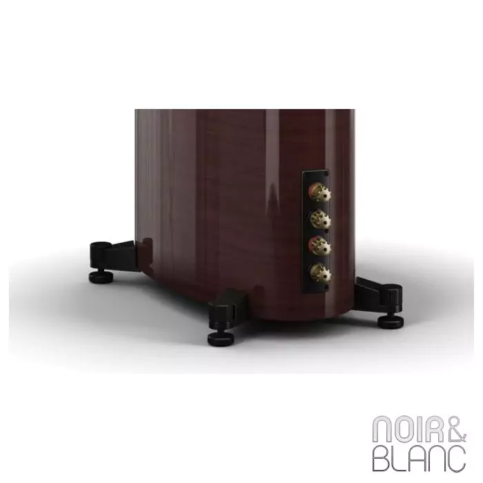 Enceinte colonne Dali Epikore 11