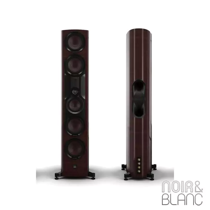 Enceinte colonne Dali Epikore 11