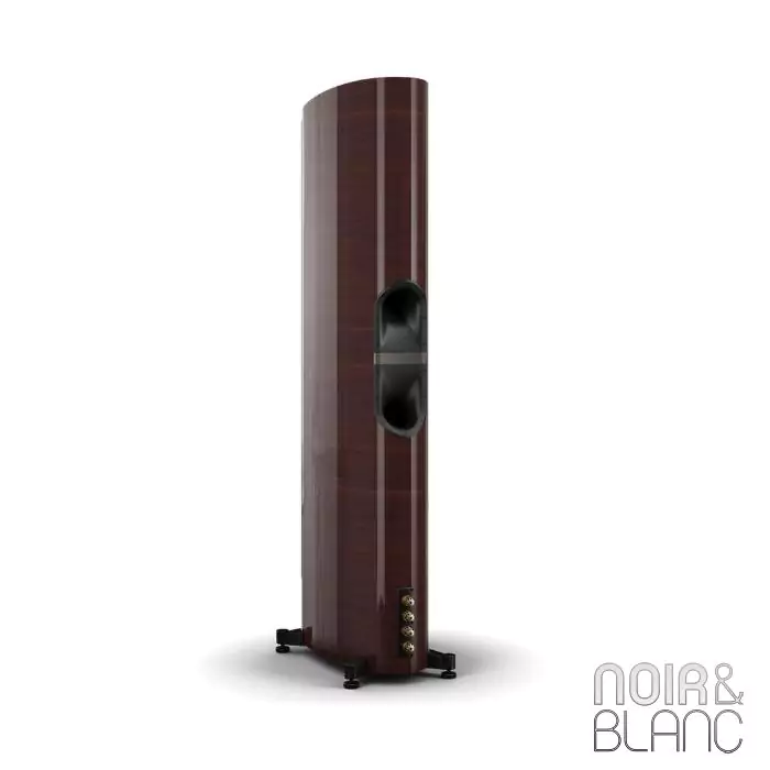 Enceinte colonne Dali Epikore 11