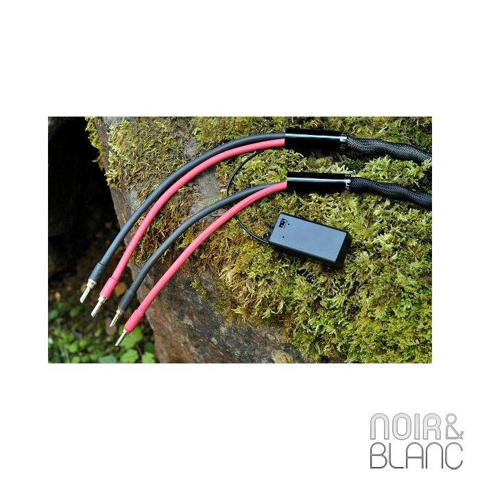 Esprit Eterna Speakers 2x7m main product photo