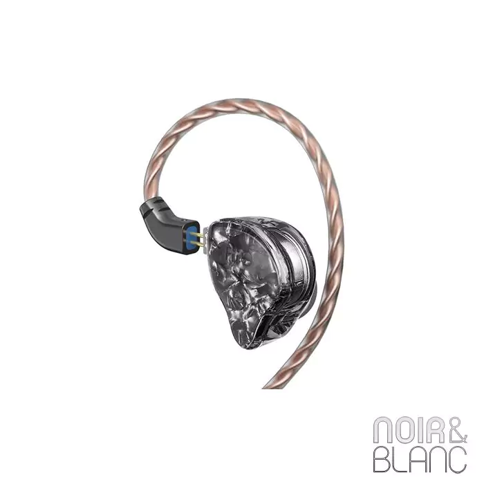 Écouteurs Fiio FH1s