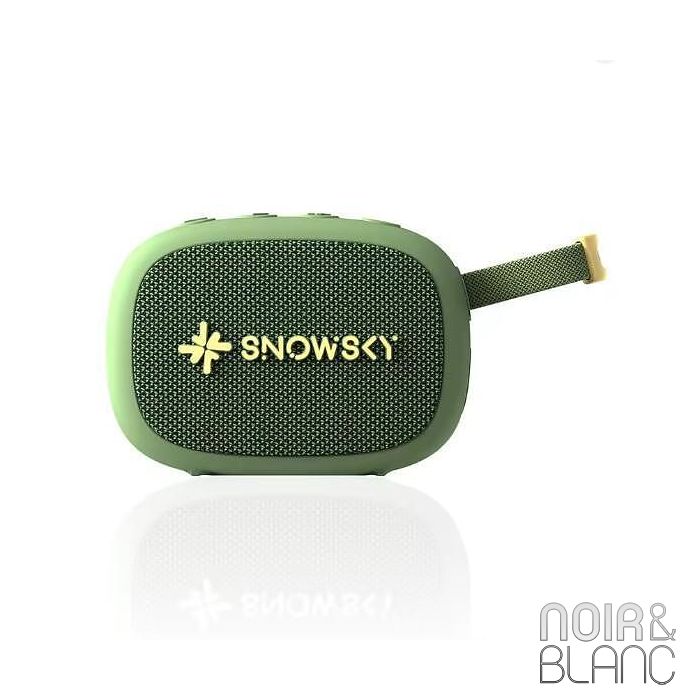 Fiio Snowsky Anywhere main product photo