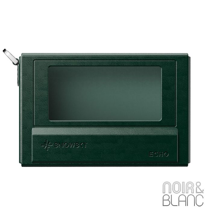Fiio Nest-Echo main product photo