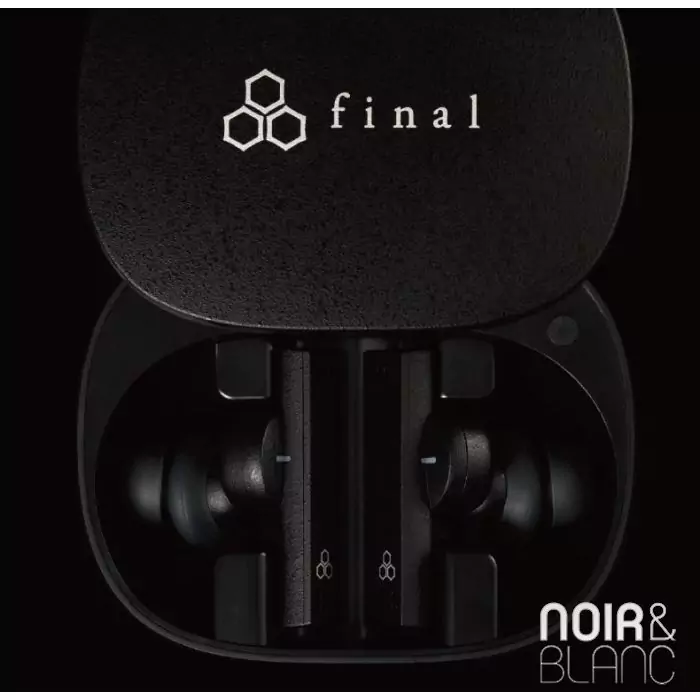 Ecouteurs Bluetooth Final ZE8000