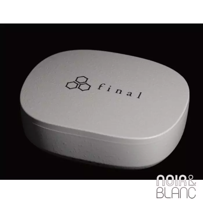 Ecouteurs Bluetooth Final ZE8000