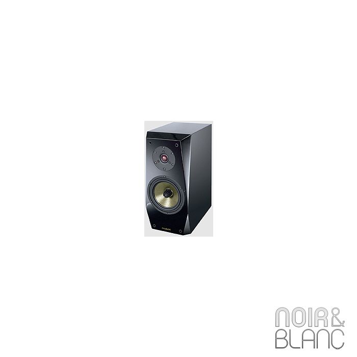 Focus Audio FP-60 SE main product photo