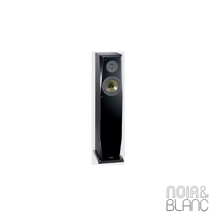 Focus Audio FP-70 SE