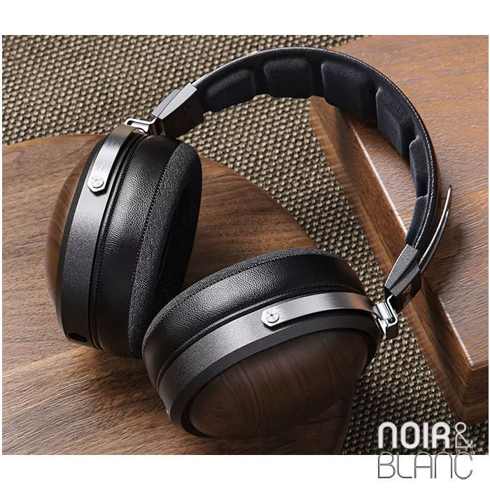 Fiio FT1
