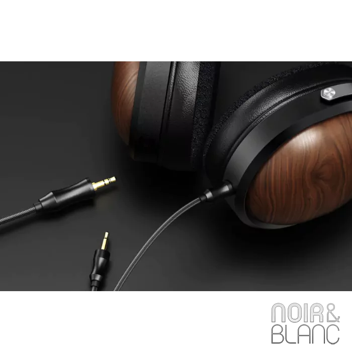Fiio FT1