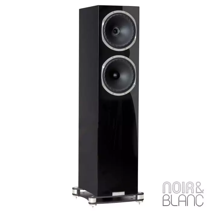 Enceinte colonne Fyne Audio F502 SP | Noir et Blanc