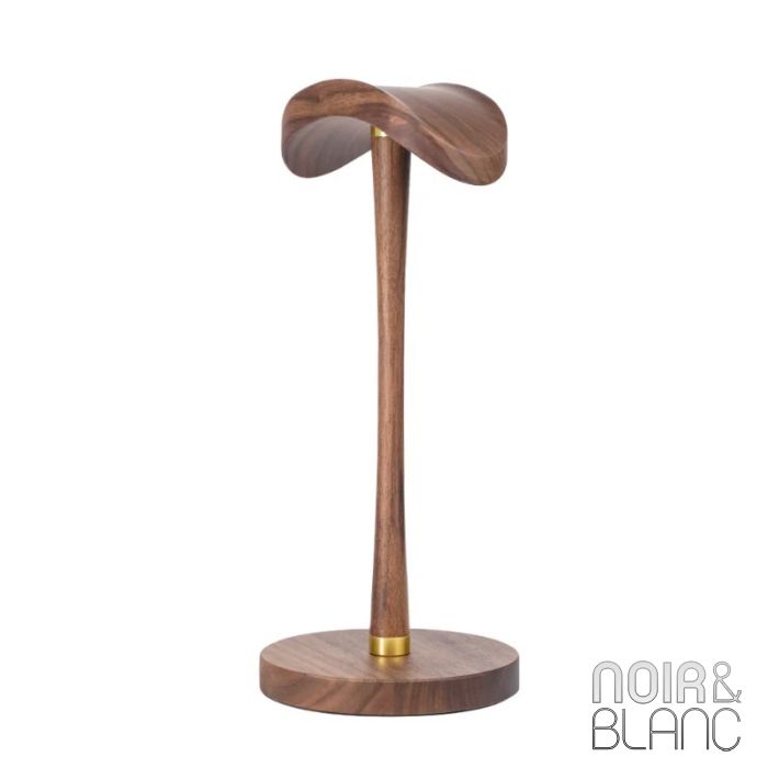 Fiio HS21 main product photo