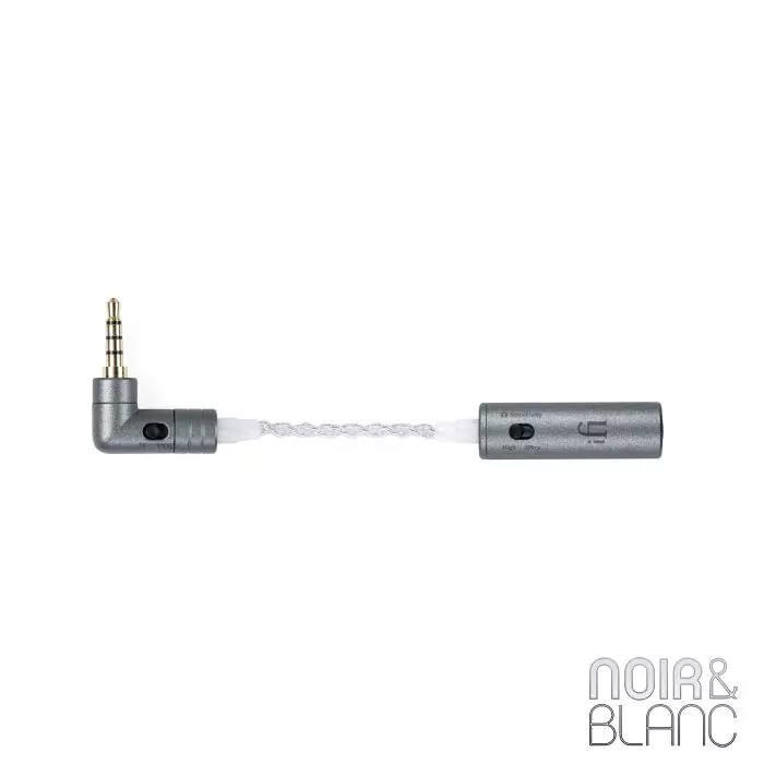 Accessoire casque  iFi Audio iEMatch +