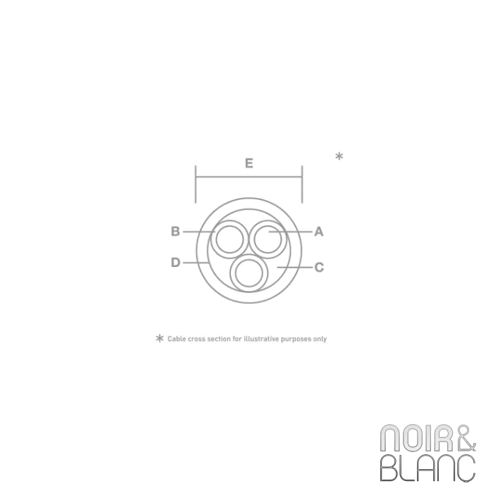 Câble secteur Isotek EVO3 Initium 