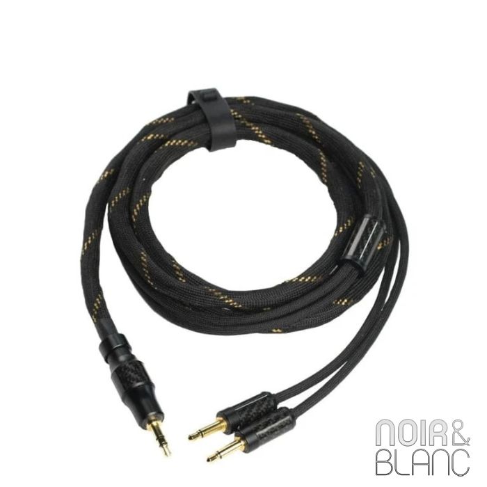 Fiio LL-RC 2025 main product photo