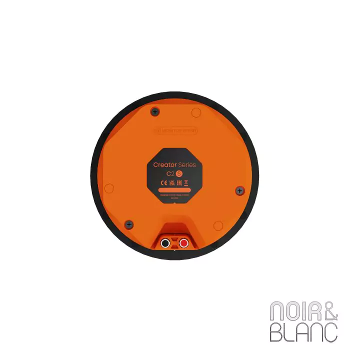 Enceinte encastrable Monitor Audio C2S