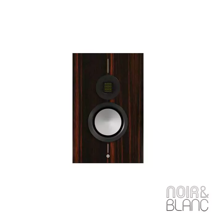 Enceinte surround Monitor Audio Gold  On-Wall 6G