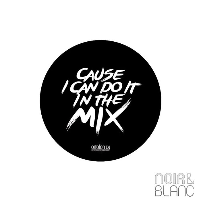 ORTOFON SLIPMAT main product photo