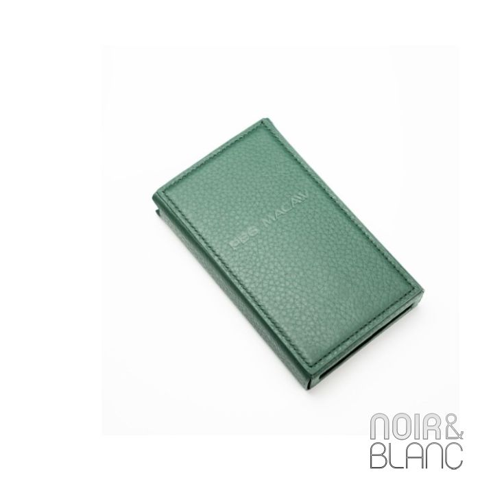 iBasso PB6 Macaw Leather Case main product photo