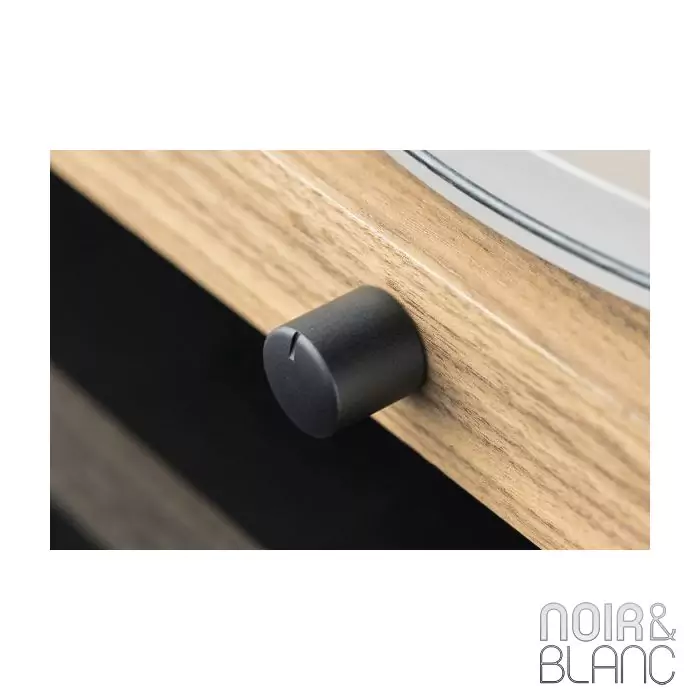 platine vinyle Pro-Ject Juke Box S2